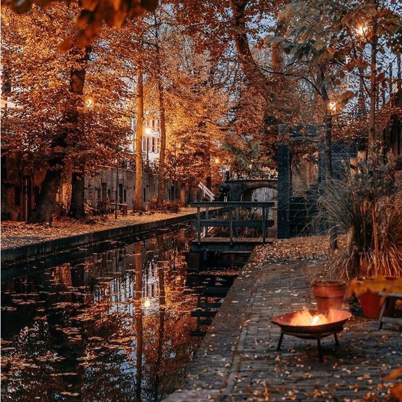 New Fall Faves & Arrivals 🍂🍁 - Picture 7 of 12